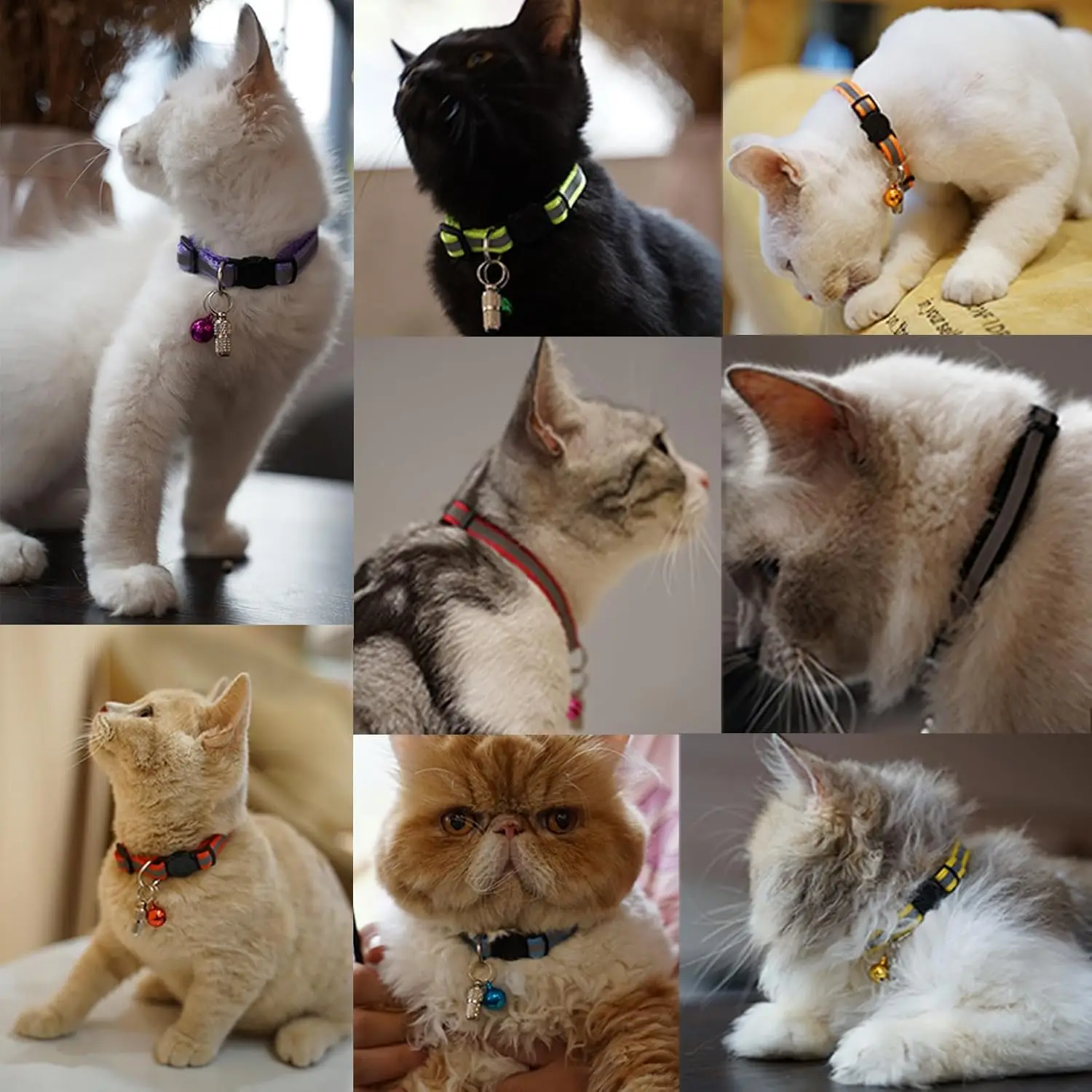Reflective Breakaway Cat Collars With Bells And Id Name Tags_voghion.com