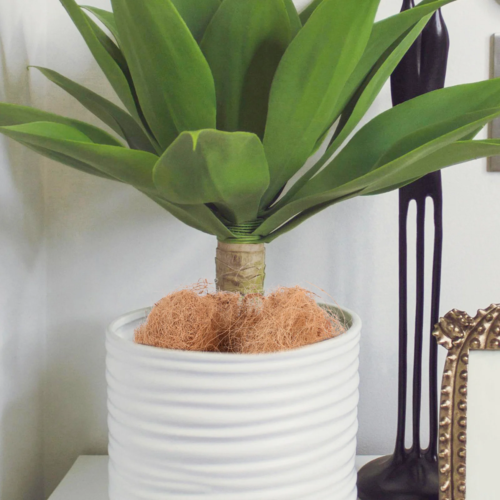 

100G Coconut Coir for Plants Potting Soil Indoor Outdoor Vegetables Bonsai Succulents Fast Hydrating Lightweight Aeration Mix