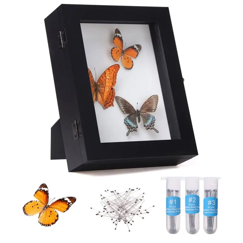 [NEWA64Z!】 Eva Foam Pinning Board Acrylic Top UV Protection, Insect Display Case Bug Display Case Wall Mount Anti Shadow Box
