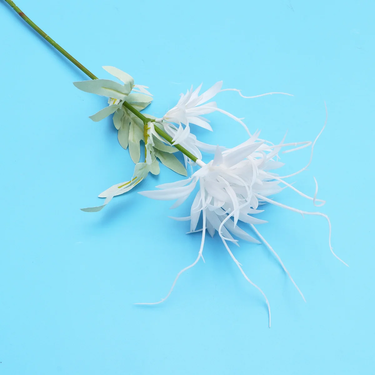 

5Pcs Artificial Broad-Leaved Epiphyllum Plastic Flower Adornment Spray White for Wedding Party Festival Decor Fake Flower Home