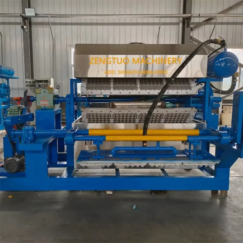 【Factory Price】Zengtuo Paper Plate Making Machine  for Small Business  Idea Rotary  Eg g  Tray Machine Manufacturing