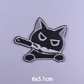 PE6653CT