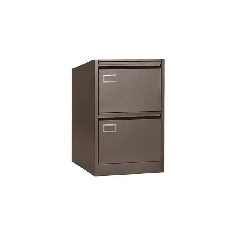 2 Drawer Steel File Cabinet Metal Office Storage Unit for Home Business Document Organization Secure Locking Filing System