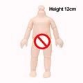 height 12cm