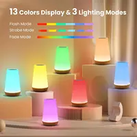 13 Color Changing Night Light Remote Control Touch USB Rechargeable RGB Night Lamp Dimmable Lamp Portable Table Bedside Lamp 2