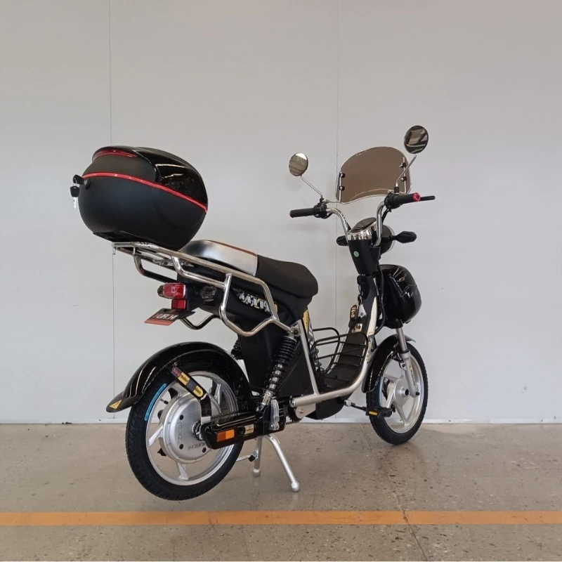 

Electric bicycle super long battery life lithium battery car new moped