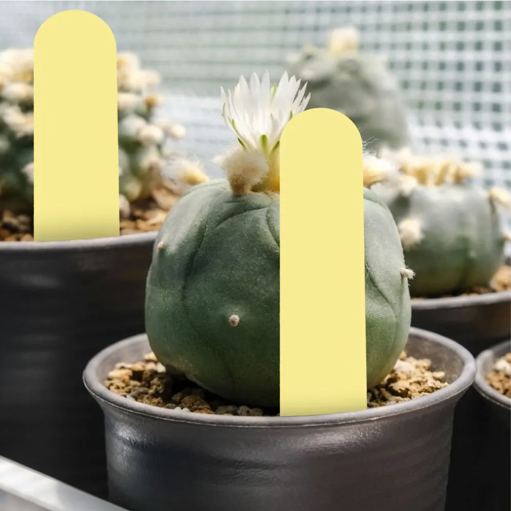 Waterproof PVC Plant Labels Garden Stake Markers Tags for Seedlings Potted Plants Courtyard Garden Use