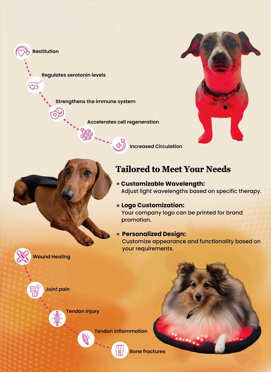 Cat Post-Surgery Therapy Instrument Red Light Therapy Pad Dog Infrared Light Cat Therapy Knee Pads Pet Rehabilitation Gown