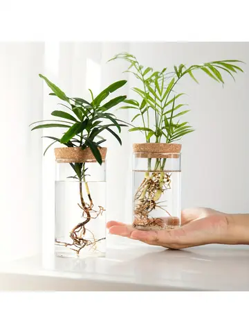 1 pz, vaso fioriera in vetro da tavolo per piante idroponiche per la decorazione domestica, vaso per boccioli della stazione di propagazione delle piante, coltura idroponica da tavolo