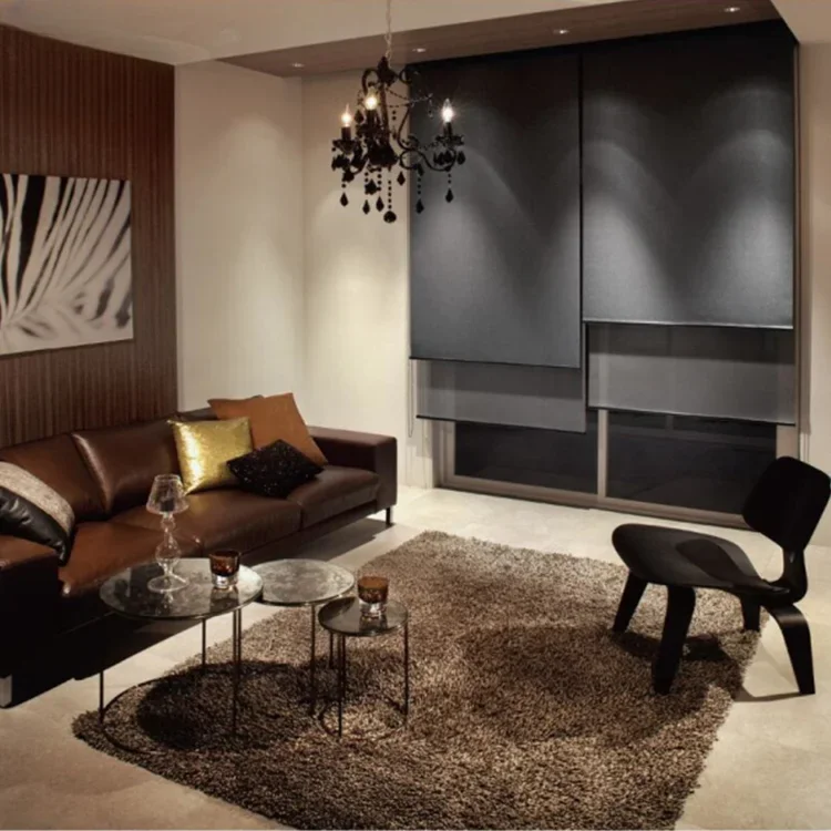 

# Hot Double Motorized Roller Blinds With Double Bracket