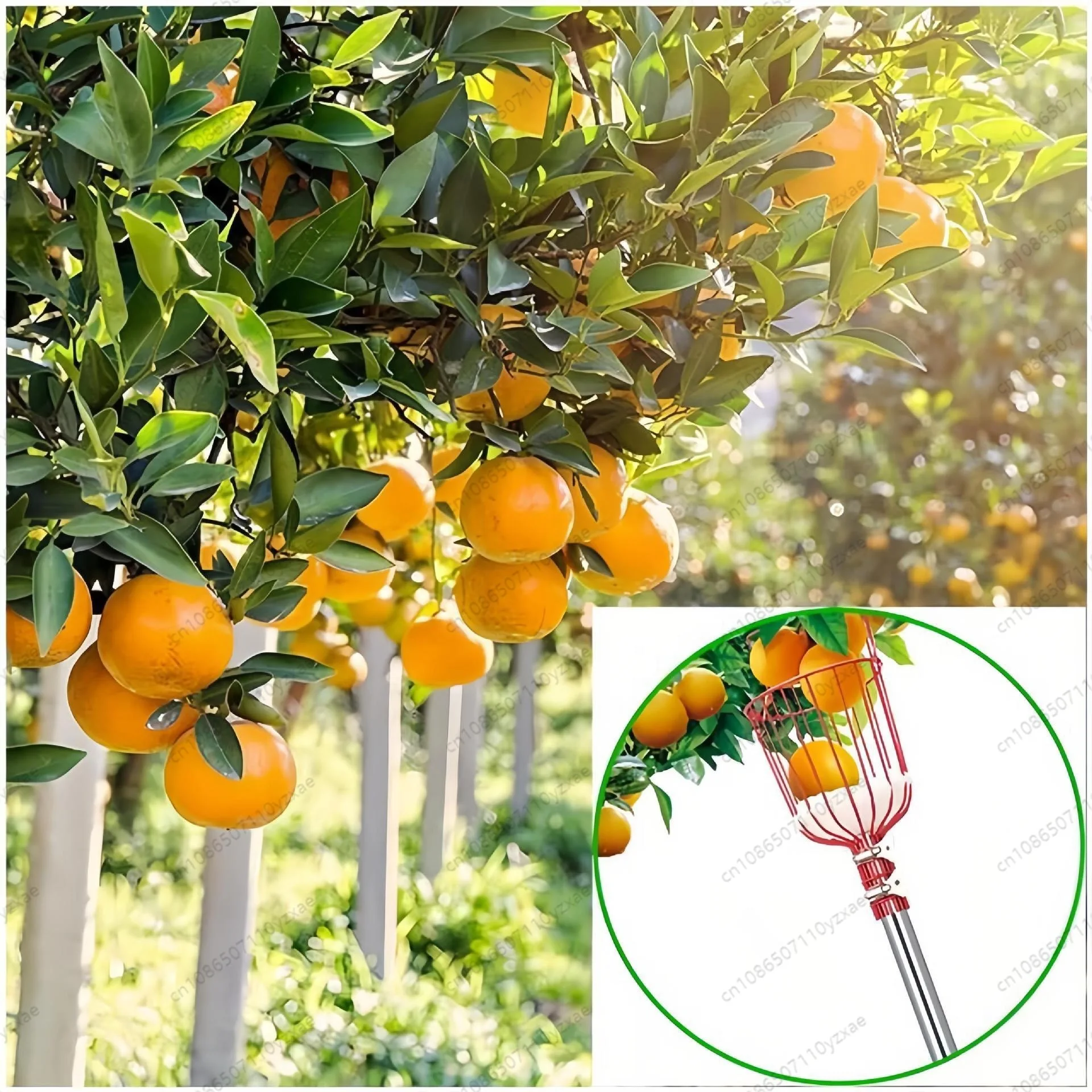 Metal/Plastic Fruit Picker Head Without Pole Fruit Collector Harvest Picking Apple Citrus Pear Garden Hand Tools