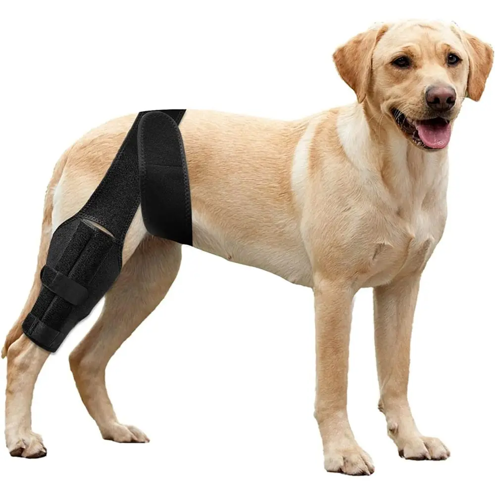 

ATESON Dog Knee Brace, Leg Brace or ACL with Cruciate Ligament Injury, Joint Pain and Muscle Sore, Adjustable Dog Rear Leg Brace