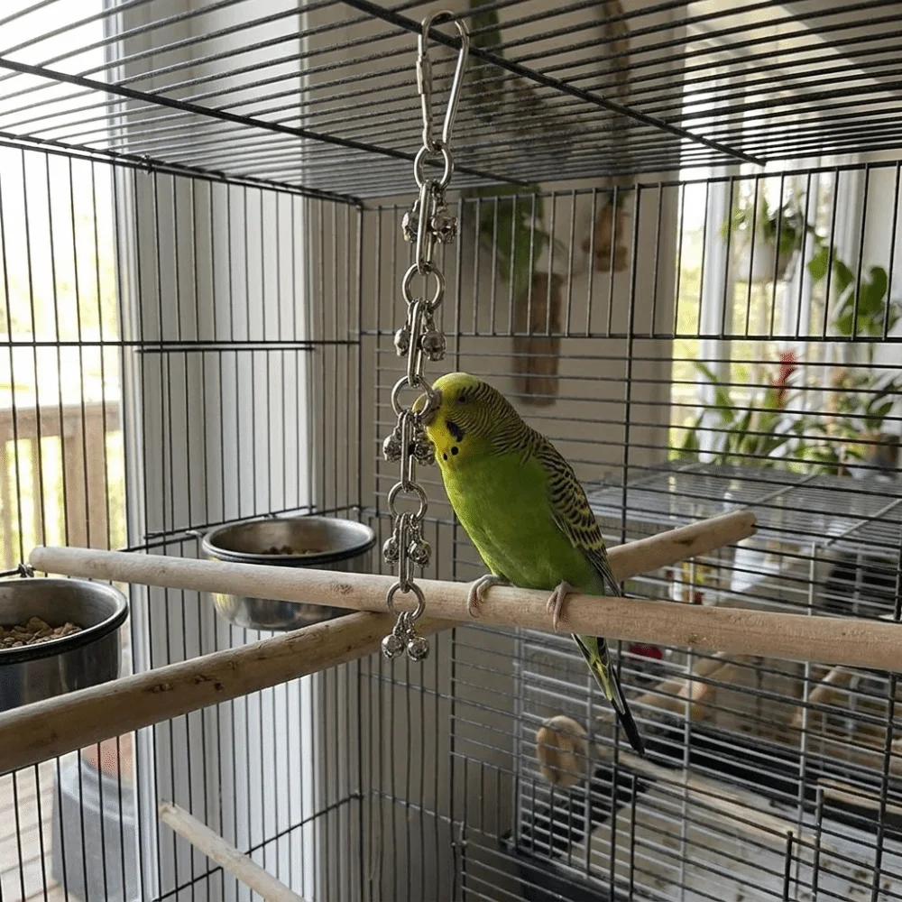 Stainless Steel Parrot Gnaw Toy Wear-resistant Rust-Proof Hanging Molar Toy Bite Resistant Parrot Bite String Cage Accessories