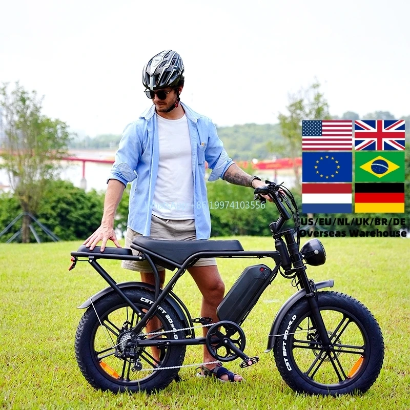 V8 Electric Fat Tire Mountain Bike 20-Inch Electric City Camping with Steel Fork Stock EU/USA Warehouse