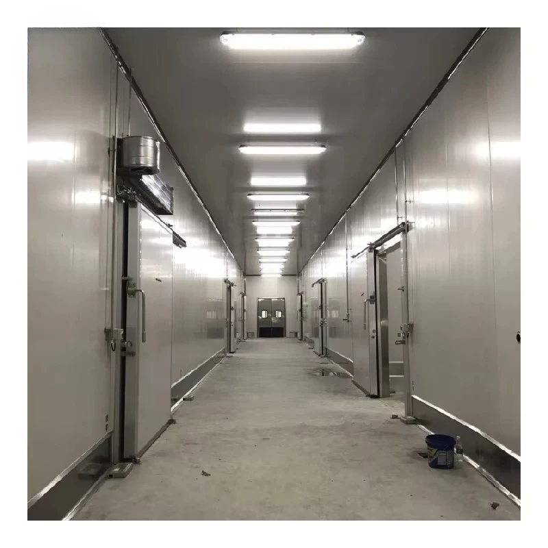Industrial Cold Room Container Walk in Cooler Freezer Chiller Unit for Meat Fish Vegetable Storage Factory Direct Price
