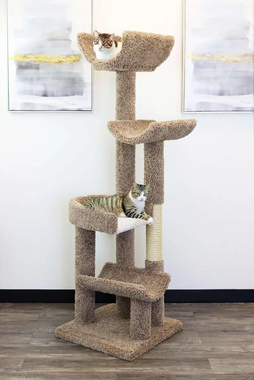 Brown Cat Climbing Tree Multi-Level Scratching Post Activity Center for Indoor Cats 190121, Customized