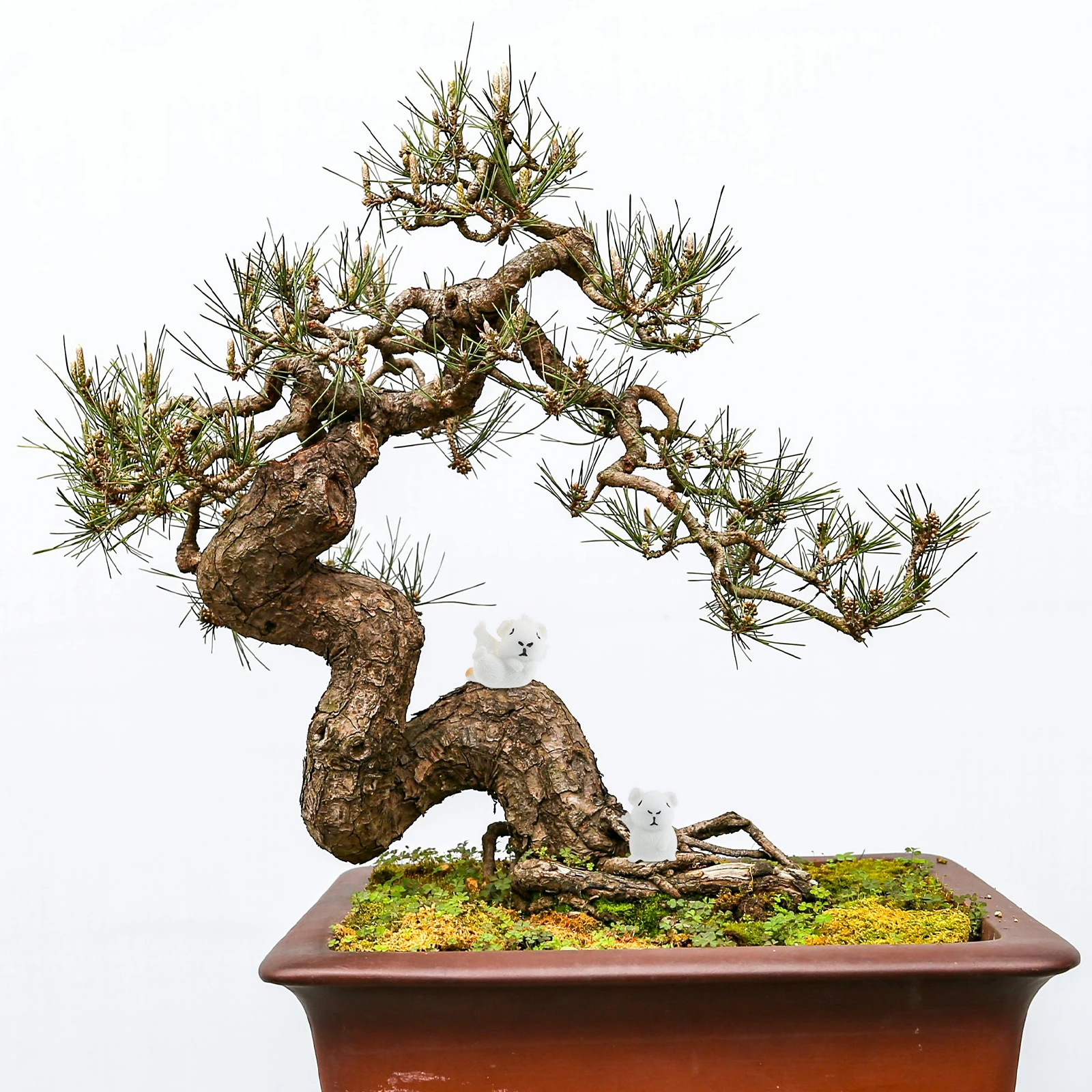 

12Pcs Animal Ornament Mini Guinea Pig Resin Decorations Fairy Garden Desktop Small Animal Figures Micro Landscape Accessories