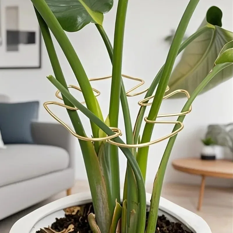 1Pc Large Plant Support Frame Sturdy Climbing Stems Leaf Stabilizer Outdoor Use for Tall Houseplant Hanging Plant Stand