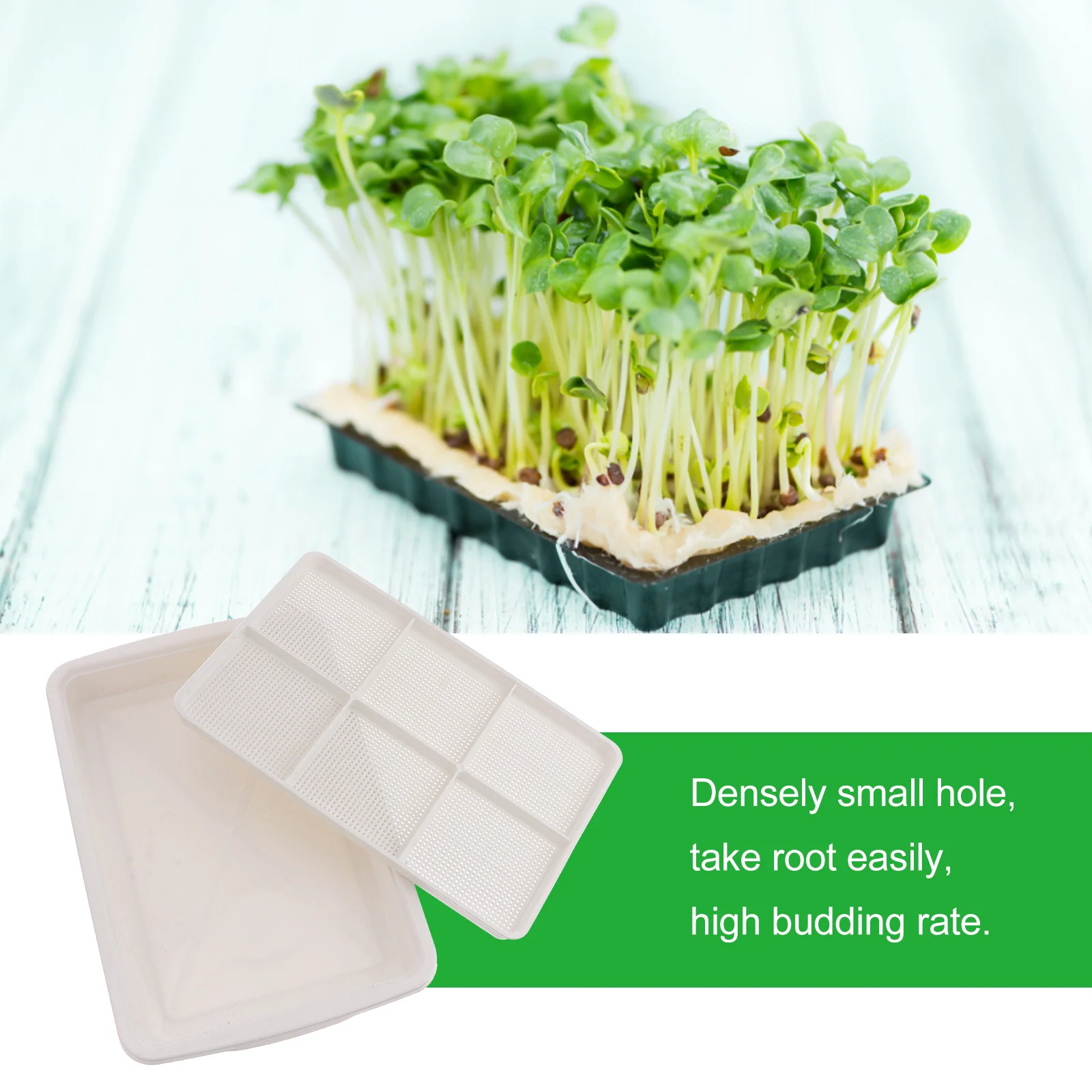 

Premium Double Layer Sprouter Tray for Growing Microgreens Hydroponic Seed Germination Kit with High Budding Rate Dense Holes