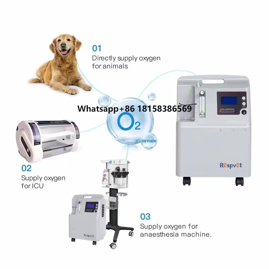 

5 Litros Concentrador De Oxgeno Hospital 5 Liters Pet Hospital Oxygen Supply