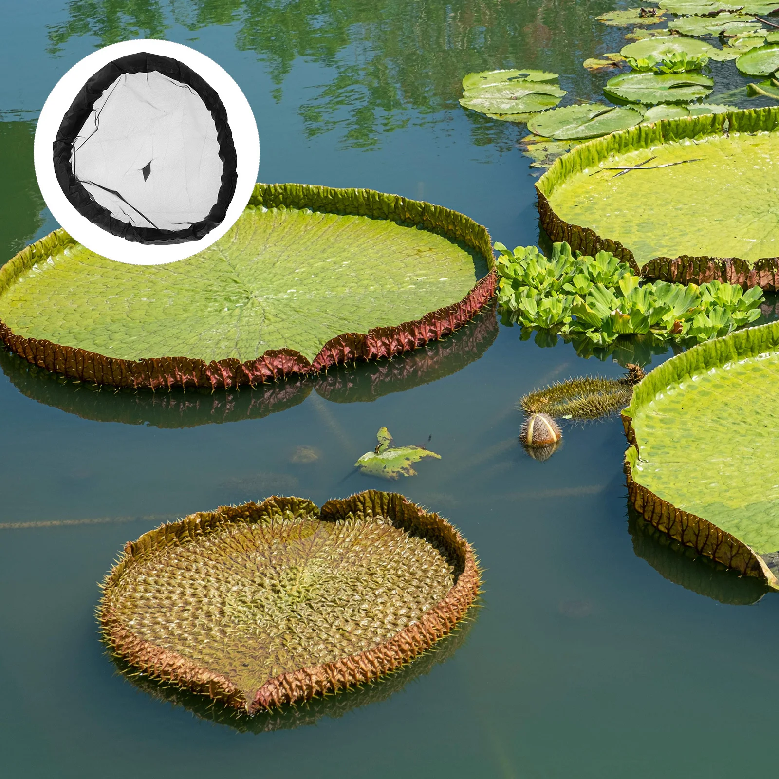 

Pond Plant Protection Net Floating Island Round Mesh Cover Floating Fish Barrier Water Garden Protector Water Garden Netting
