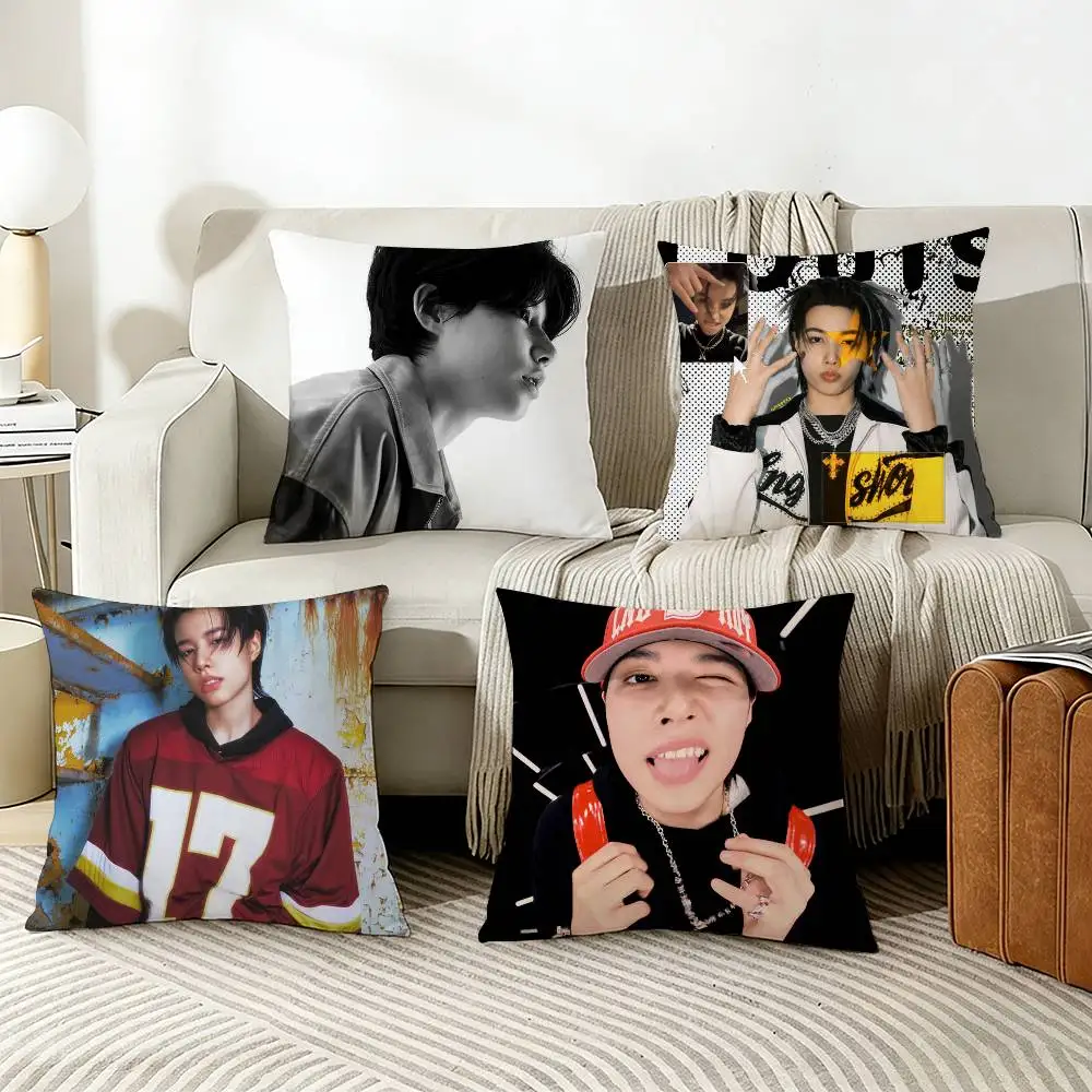 

Louis LNGSHOT Pillow Case Living Room Sofa Cushion Cover Suitable For Home Bedroom Room Decoration