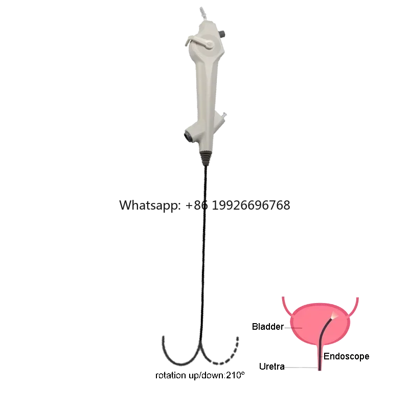 

Best Price Disposable Veterinary Portable Flexible USB Video Endoscope cystoscope For Small Animal Wholesale