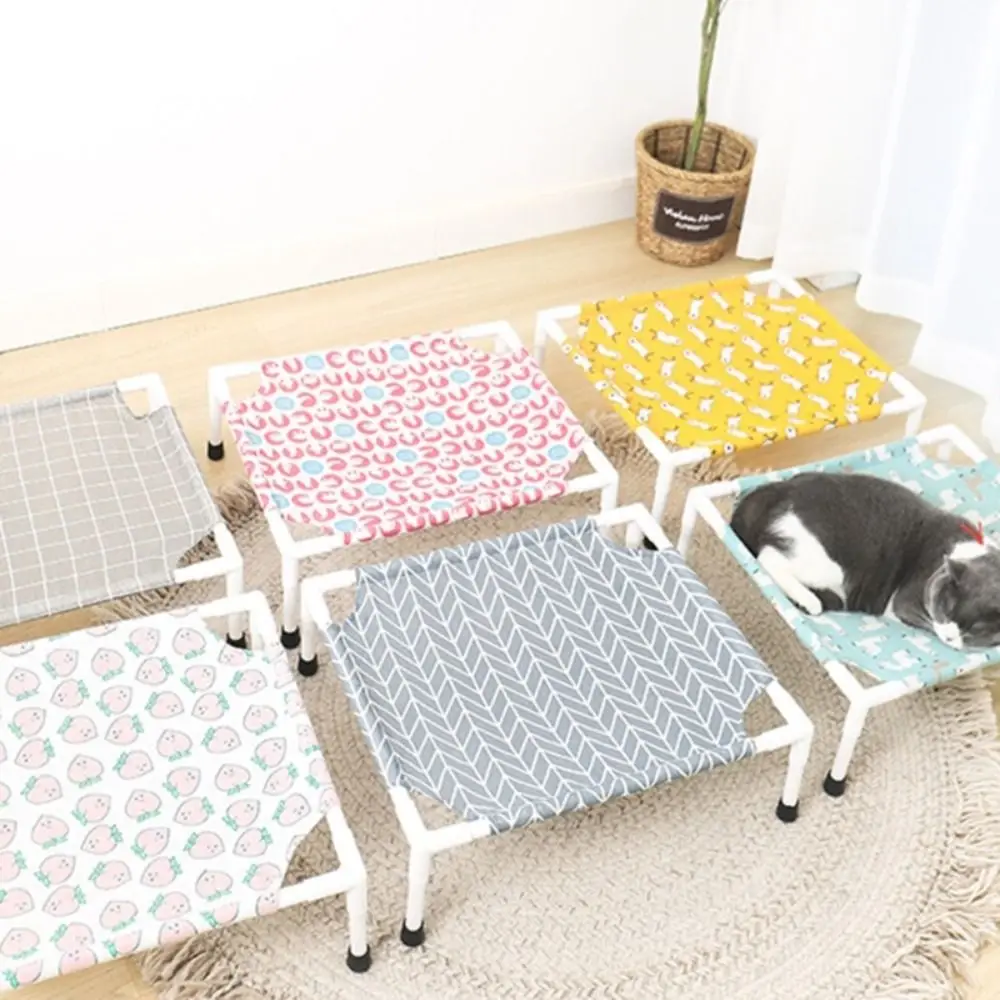 Cartoon Pet Camp Be…