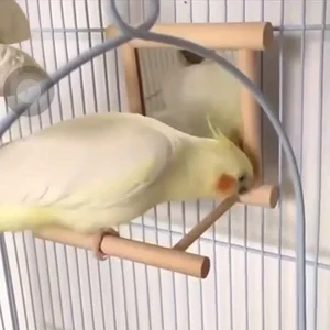 Interactive 1pc bird mirror balancing for perfect petty-a-car parrots cage for parrots, macaws, African gray, parakeets 10 Main Sales Maca de Clothes - №7