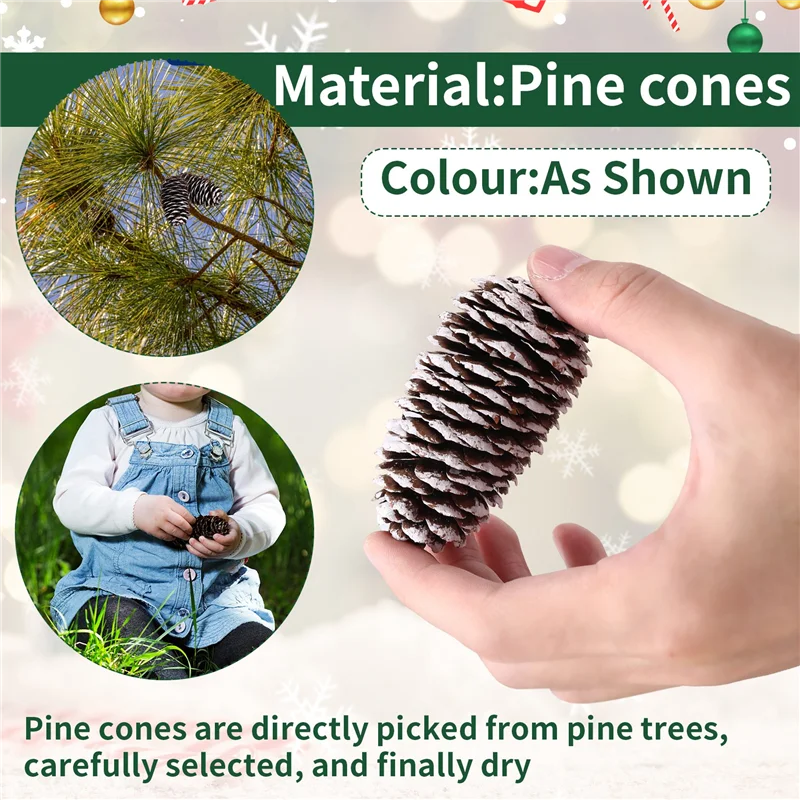 ABYS-20 Pcs Pine Co…