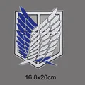 Iron patch  10