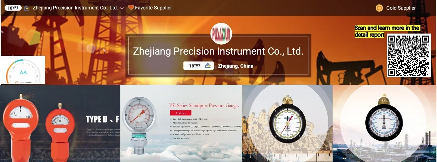 

2025 Hot Sell Pressure Sensor, sensor pressure, diaphragm protector comes complete with 2 inch Weco 1502 Nut and female sub