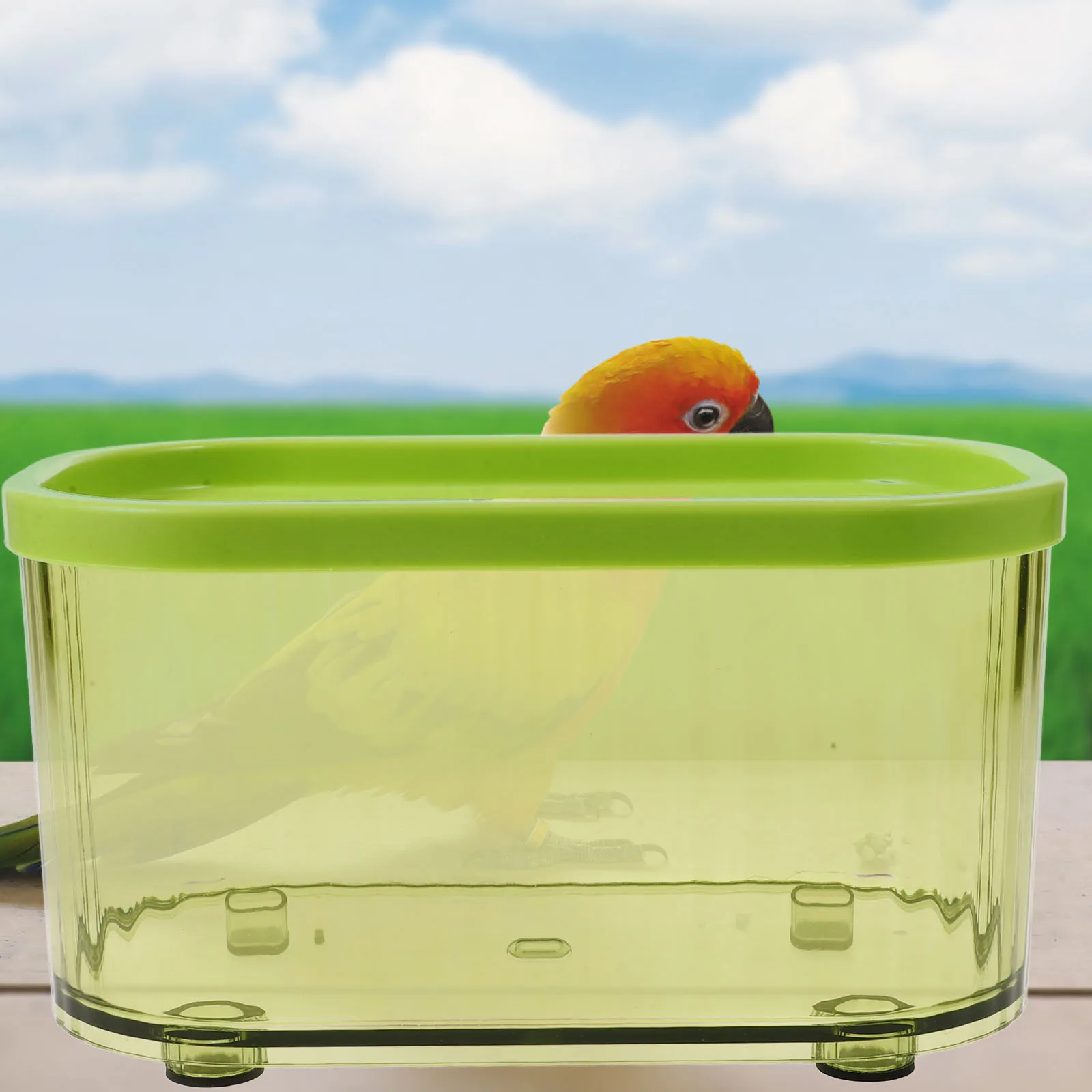 

Bird Bathtub Transparent Plastic Lightweight Practical Bath Box Parrot Budgerigar Cage Small Bird Bathing Tub Parrot Bath Box