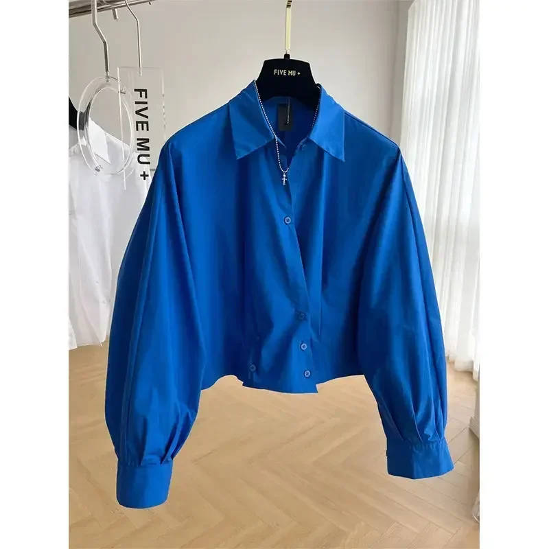 

2023 Design Sense Blue Long Sleeve Short Shirt Women's Spring/summer Korean Loose Top