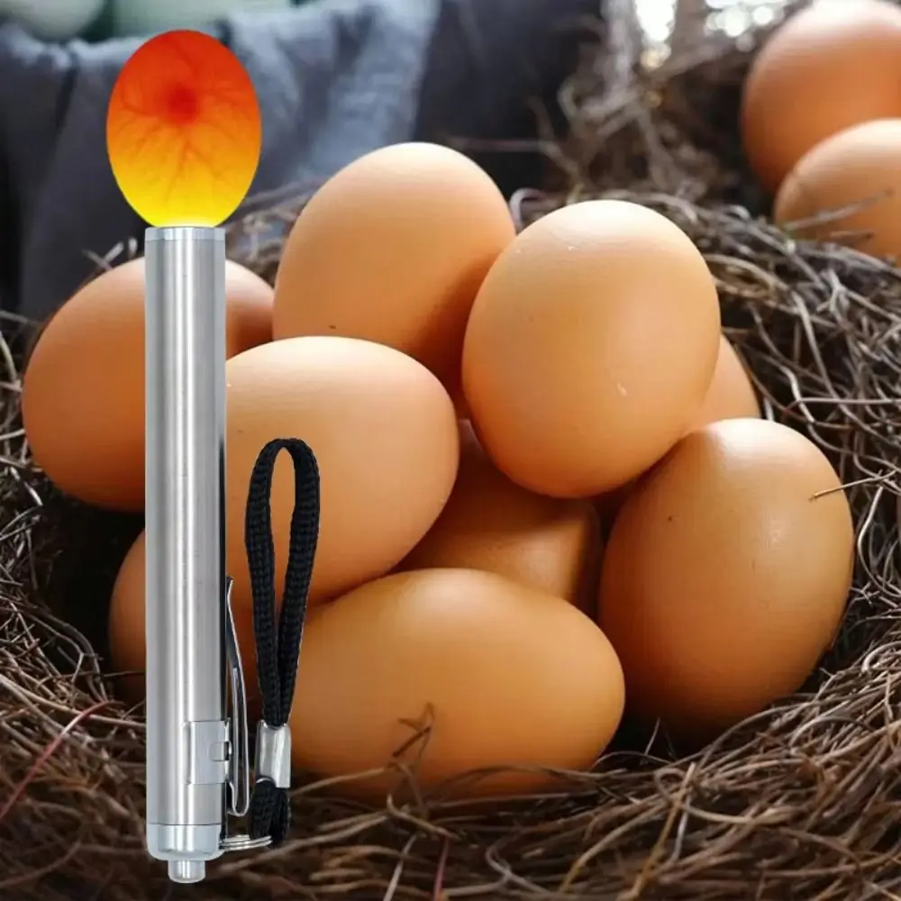 Stainless Steel LED Egg Detector Lamp Cold Light with Flashlight Incubator Eggtester LED Light