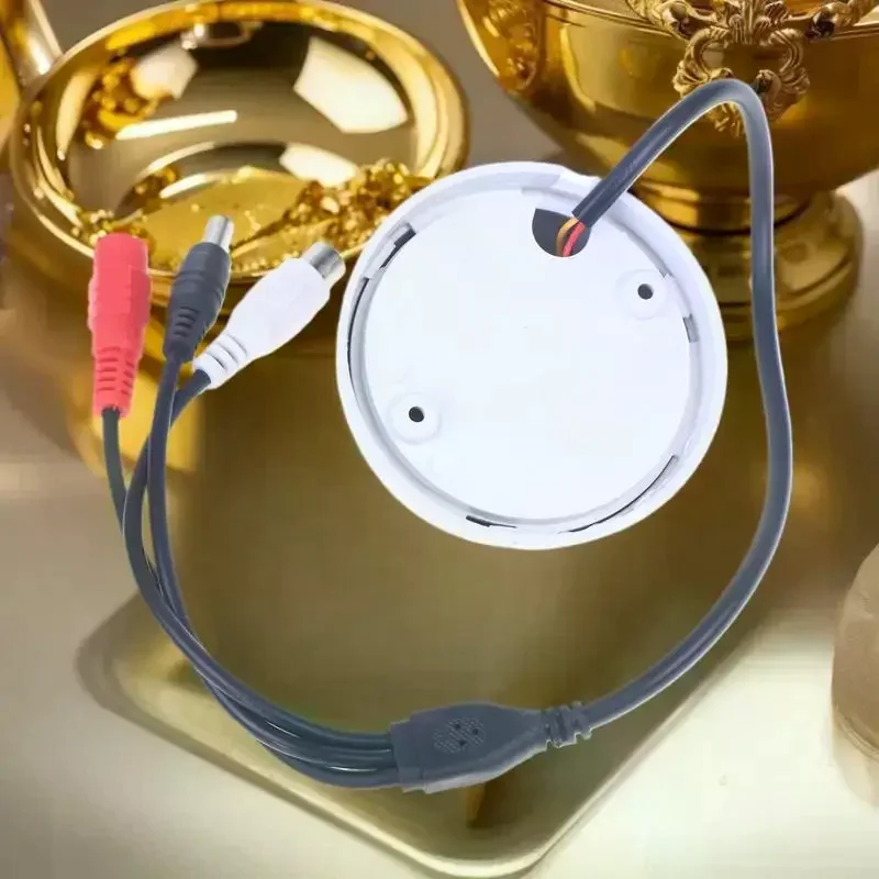 CCTV 감시용 원피스 IP 카메라, 사전 증폭기 내장, 음성 픽업 및 유선 음성 오디오 모니터링을 위한 마이크