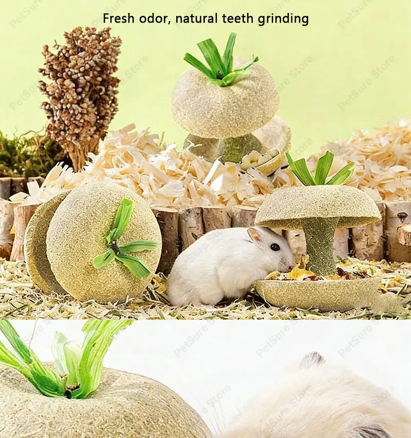 Hamster Chew Toys for Teeth & Natural Timothy Grass Bunny Treats Sd688718c823f4b6a830d1e6369d7081cJ