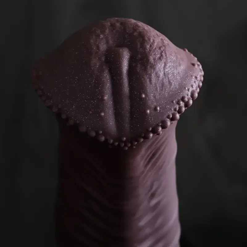Huge Horse Dildo Anal Plug Sex Toys For Men Women Silicone Butt Plug Horse Penis Big S-L Prostate Massager Anal Dilation 18+ view 3
