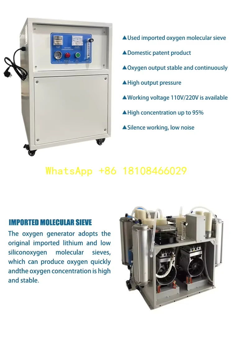 20g for Water Treatment Oxygen Concentrator Factory Price Ozone Generator 30 g Oxygen Source Air Cooling Ozone Generator