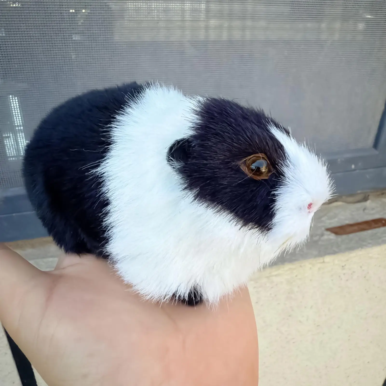 Hamster knuffeldier zachte pop schattige knuffel schattige hamster pluche knuffeldier voor metgezel comfort kinderen dierenliefhebbers verzamelaars