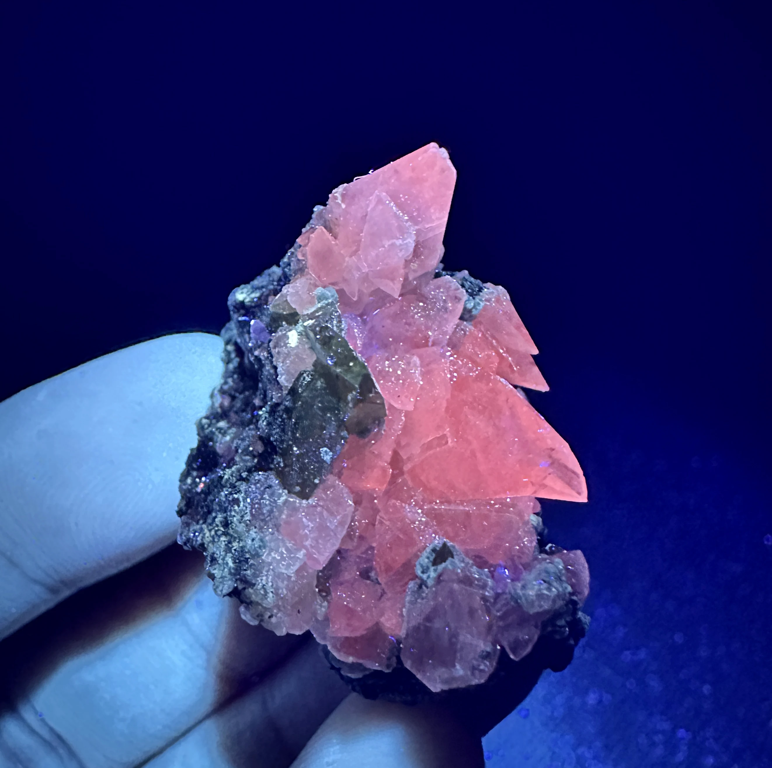 Natural Pakistan Sp… - image