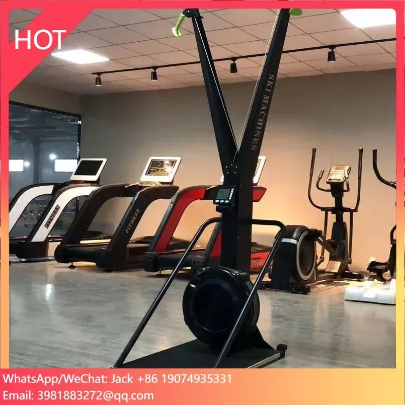 

Gym Equipment Cardio Sports Machine Air Resistance Skiing Machine