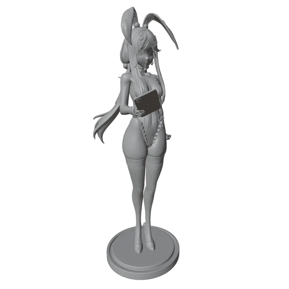 Figura decorativa 1/24 anime DIY sin pintar para dueños de mascotas