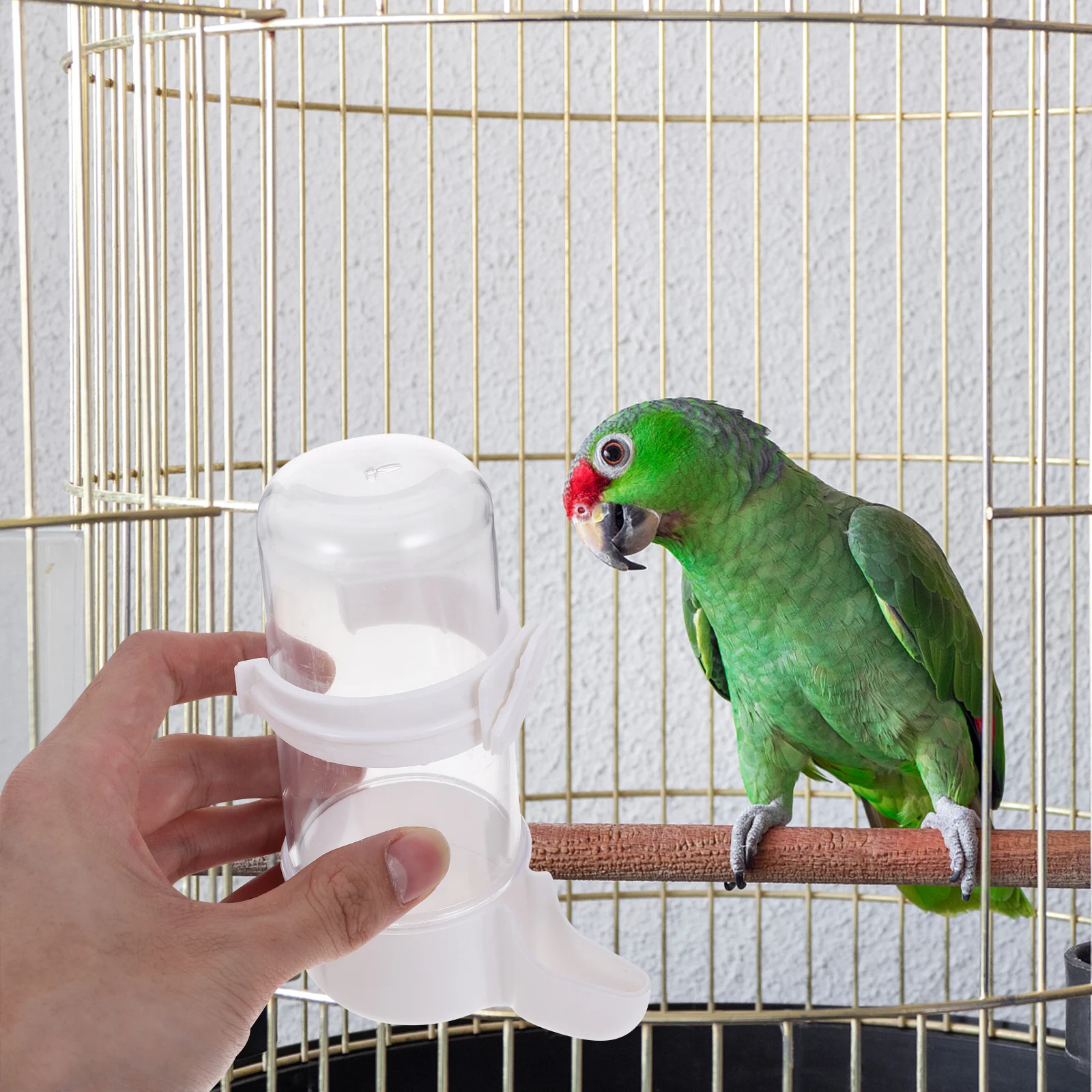 

Automatic Bird Waterer 240ml Transparent Bottle White Base For Cage Parrots Pigeons Thrushes Pet Supplies Water Container