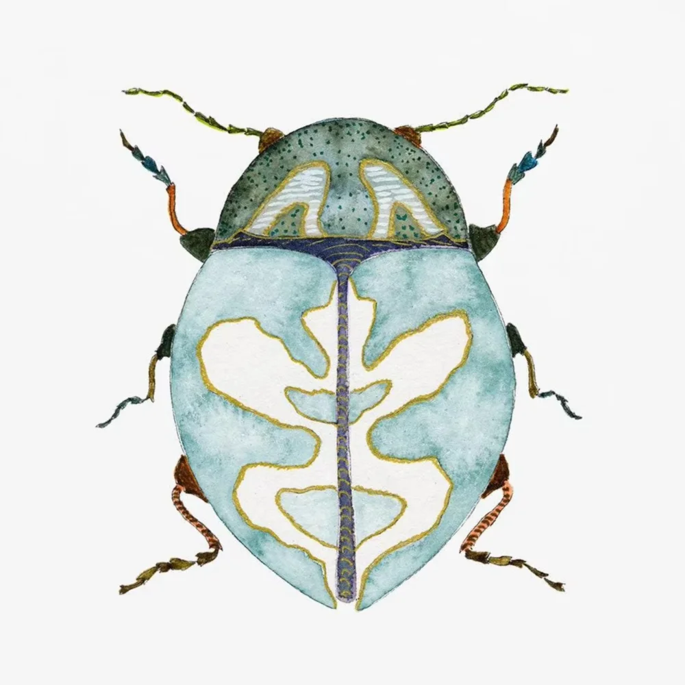 Watercolor Bug Beetle Ladybug Poster Print Colorful Insect Canvas Painting Nature Wall Art Picture Nursery Kids Room Home Dec