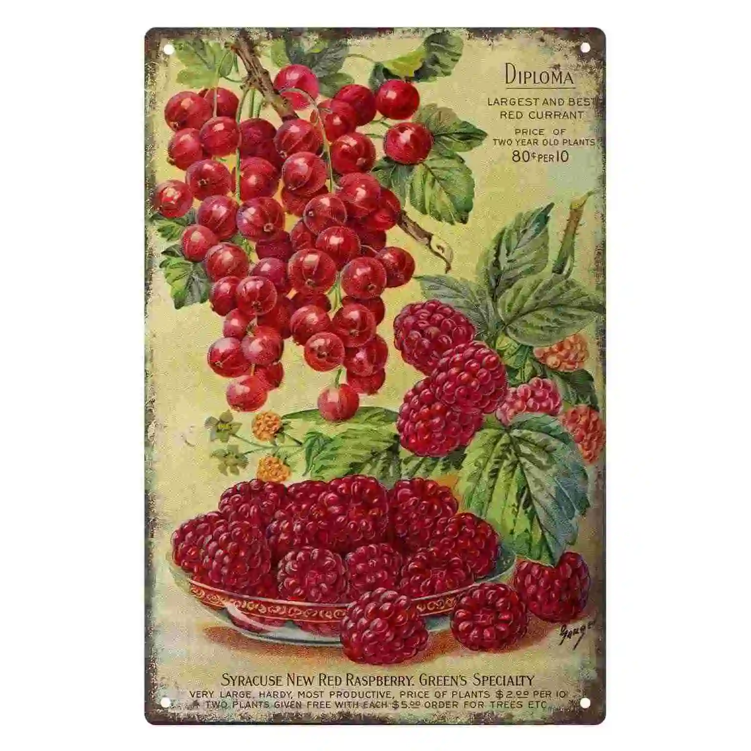 2D FLAT 1pc Vintage Red Currant and Raspberry Botanical Advertisement Metal Wall Sign Decoration for Home Cafe Garage Bedroom