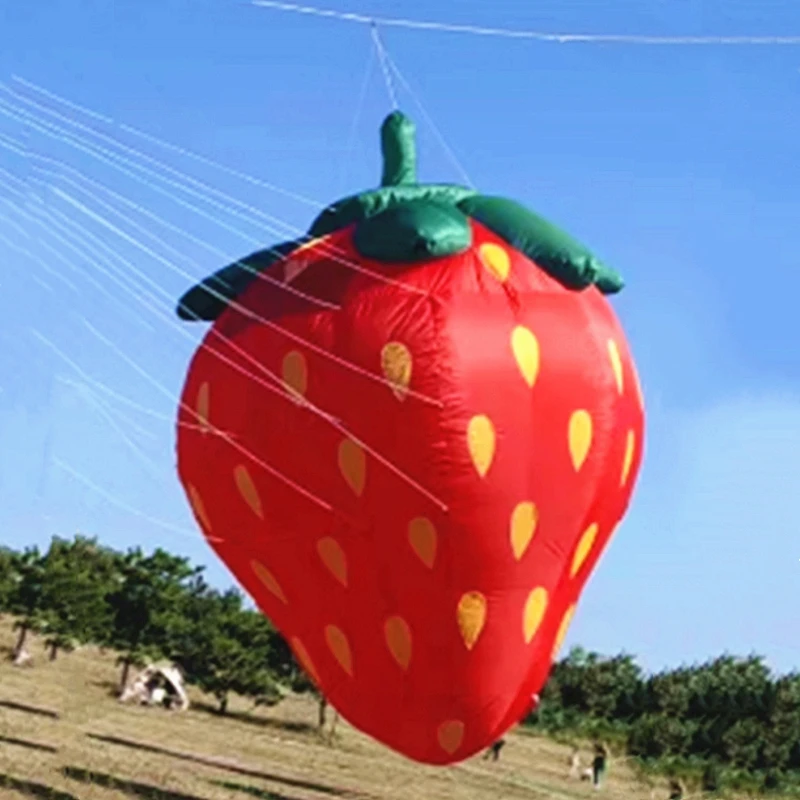 free shipping 5m strawberry kite large adult Kite wind pointer kites for adults windsock inflatable kite butterfly kite 3d kite