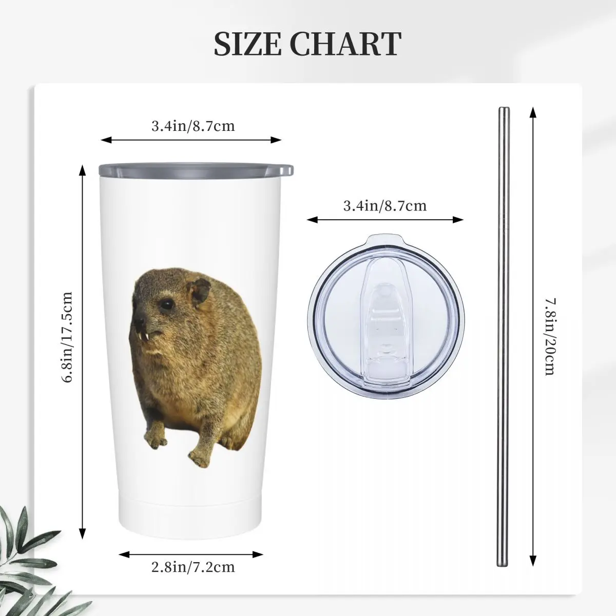 Cute Rock Hyrax Stainless Steel Tumbler Vacuum Insulated Mug Thermal Cold Bottle Straws With Lid 20oz