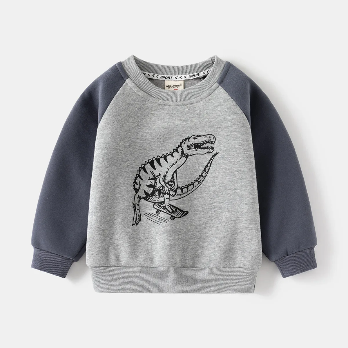 

New 2025 Boys Casual Cartoon Dinosaur Long Sleeve Thicken Sweatshirt Tops Kids Autumn Winter Loose Pullover Sweatshirts Clothing