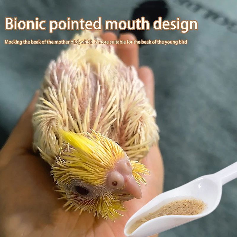 5 قطعة ملعقة للتغذية لفرخ الببغاء البلاستيك عالي-ملعقة تغذية مقاومة للحرارة اليدوية-الببغاوات المقدسة تغذية الطيور الصغيرة #2